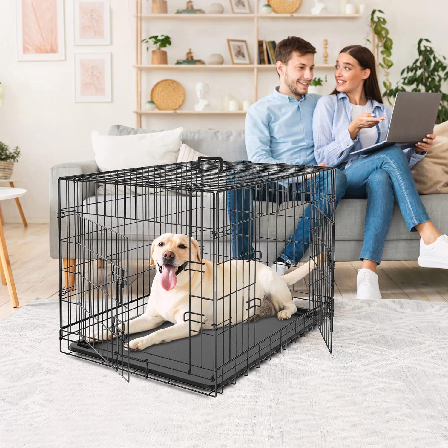 Tucker Murphy Pet™ 36" Metal Collapsible Pet Crate Includes Divider